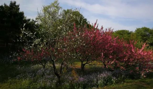 北京哪些公园对18岁以下免费,北京60岁以上老人免费公园明细