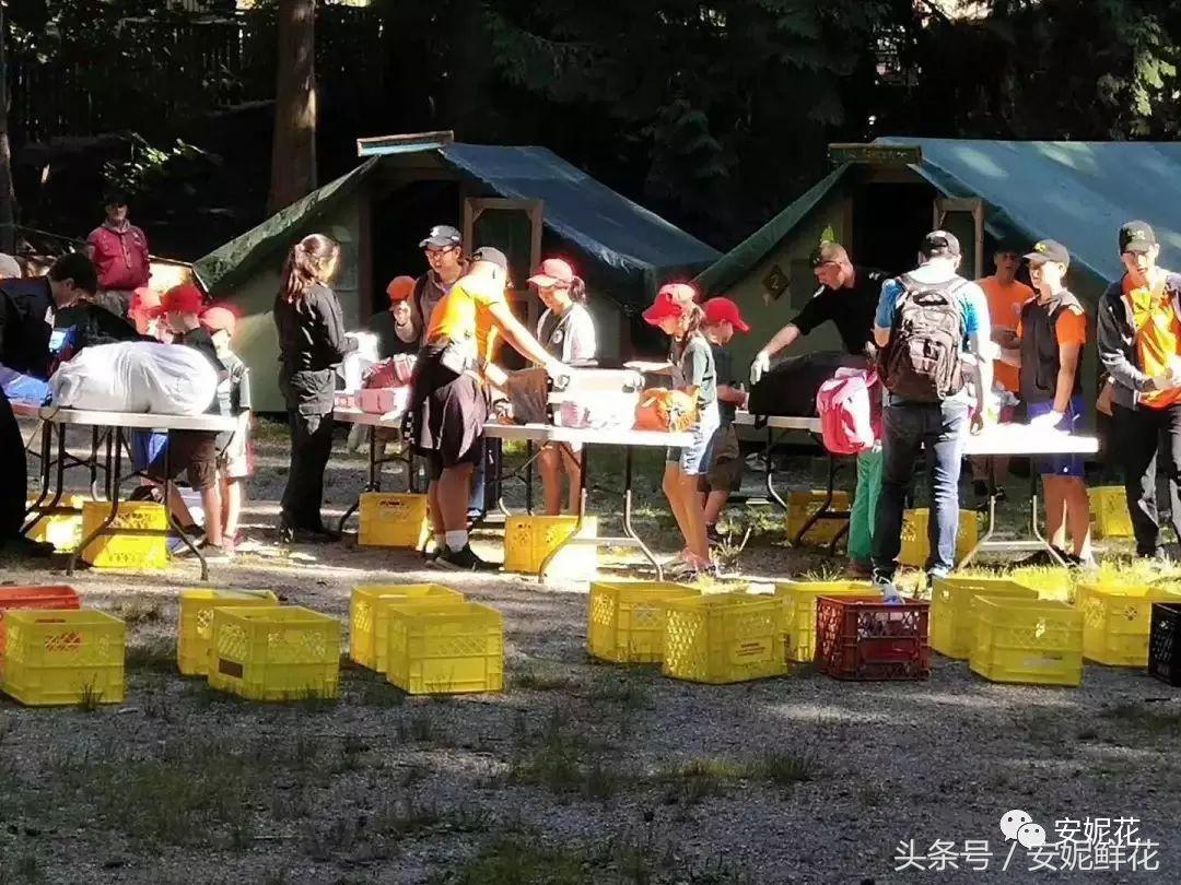 浸入式体验北美教育，安妮花2018童子军夏令营跨国行记