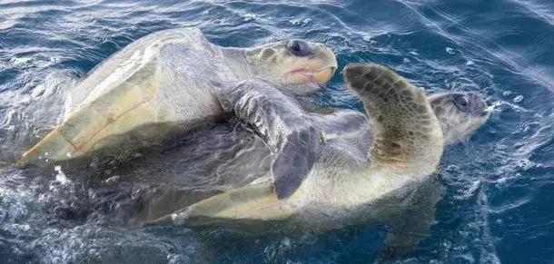 涔夊涔夊伐鏃呰,涔夊瑙嗛