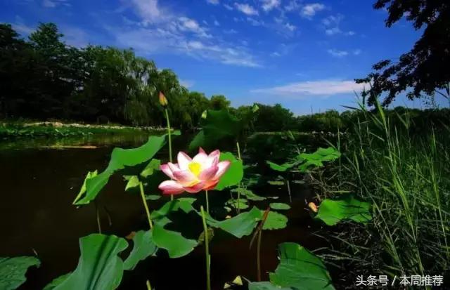 乡愁,下一站,辰溪!你要跟我一起吗?