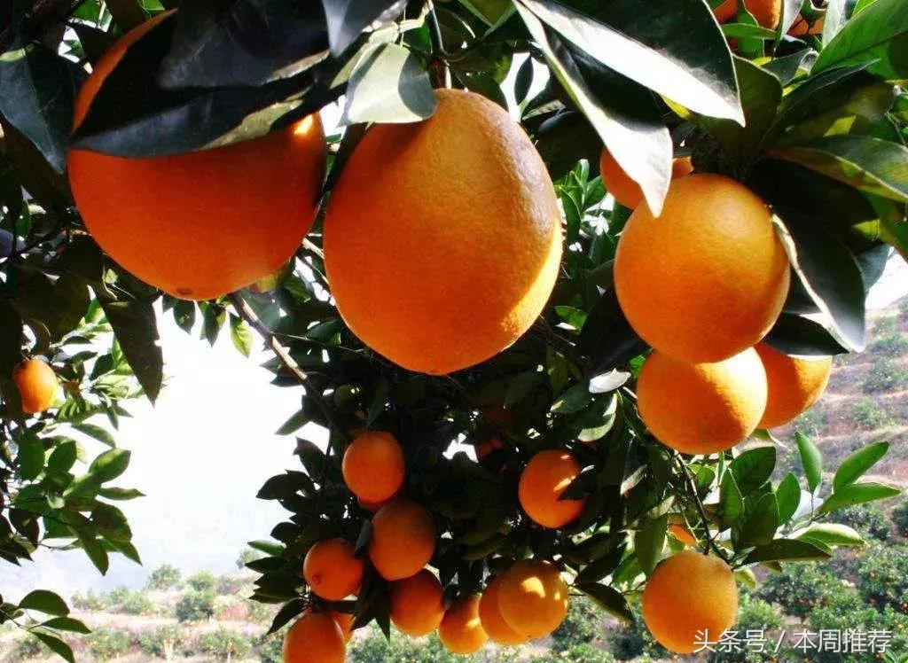 乡愁,下一站,辰溪!你要跟我一起吗?