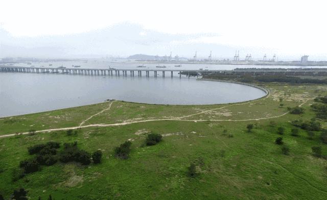 在深圳买房的都是人才,在深圳买车买房的人