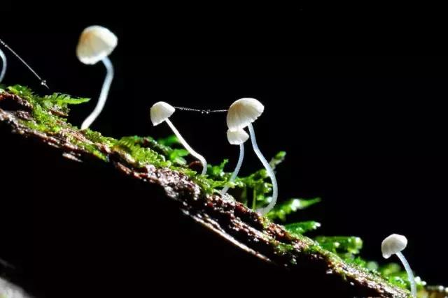 张程皓图片,张程皓照片