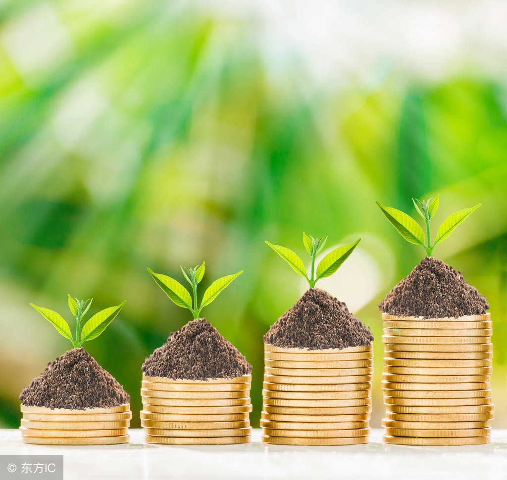 2000元一斤的信阳毛尖是什么档次,信阳毛尖100元一斤值得买吗