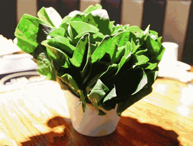 叶县齐祺渔锅团购,齐祺渔锅叶县地址