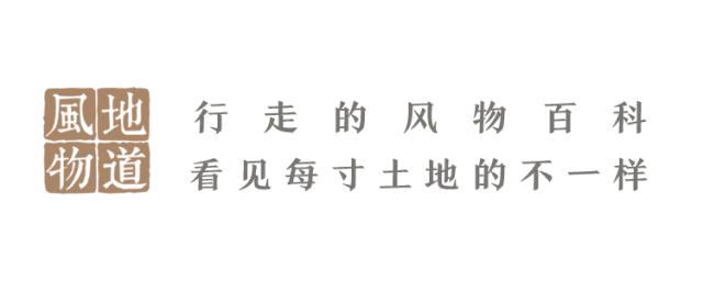 甜瓜｜伊丽莎白、金蜜、白兔、京玉、鲁厚甜1号、蜜兰、流星……