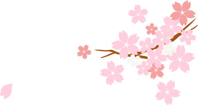 武汉市硚口区青少年足球比赛,当足球遇上跆拳道