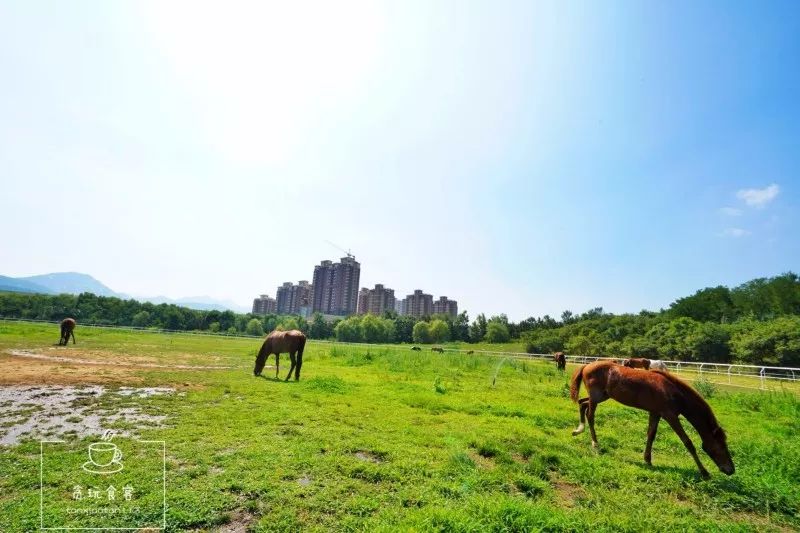 烟台山网红打卡地最值得看的,龙口打卡景点