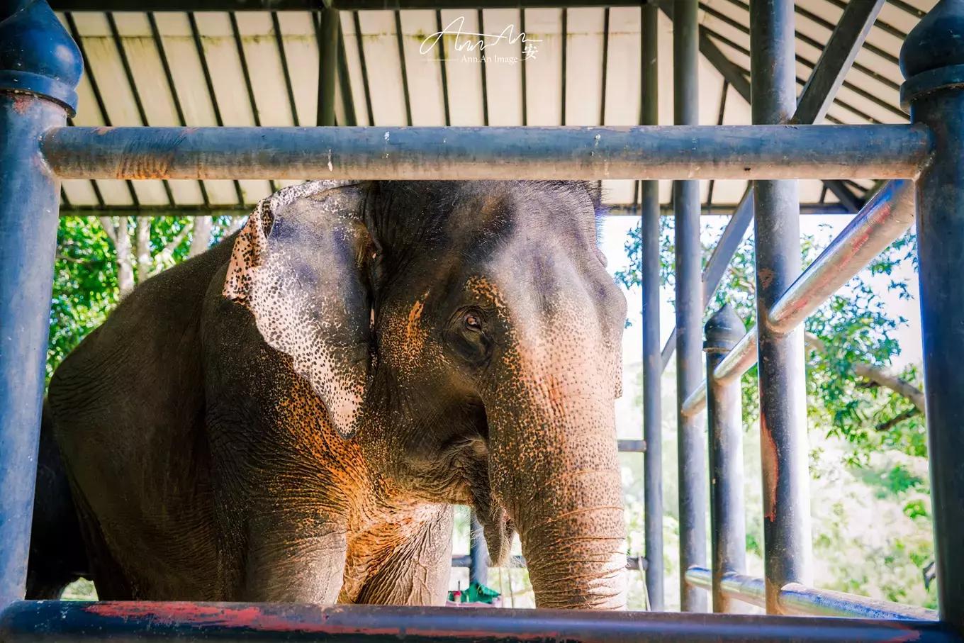 拥抱你的烈日暴雨，开启曼谷华新六日度假购物模式（下）
