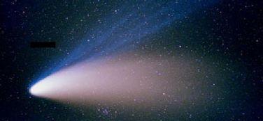 张军平：爱犯错的智能体——视觉篇（四）：看得见的斑点狗