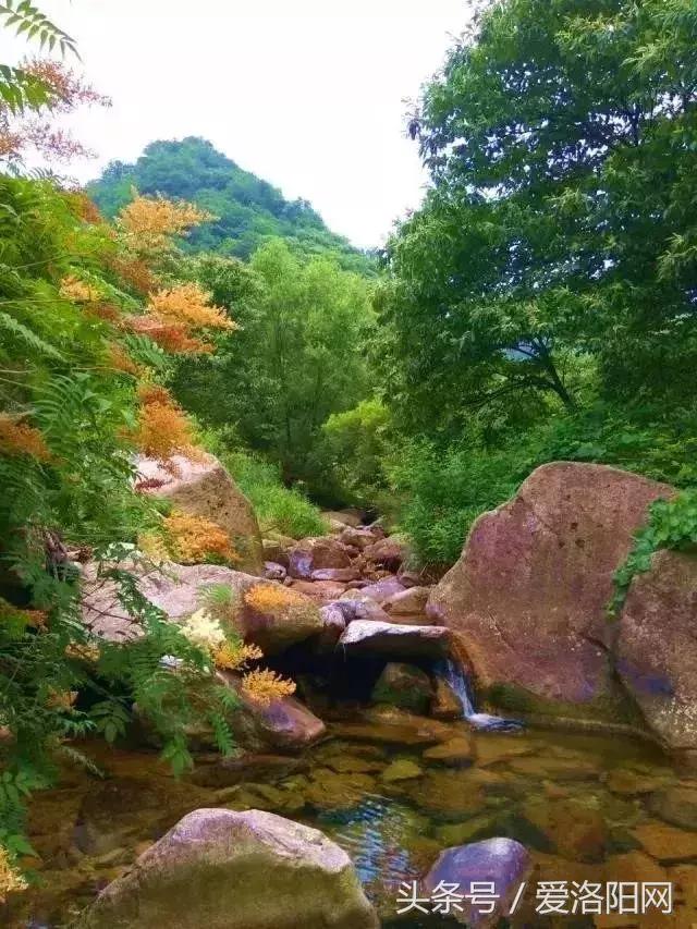 嵩县这条鲜为人知的绝美路线，隐秘在山林间，高速免费不容错过！