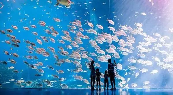 暑期陪娃游长隆海洋王国,这个暑假去珠海海洋王国多人吗