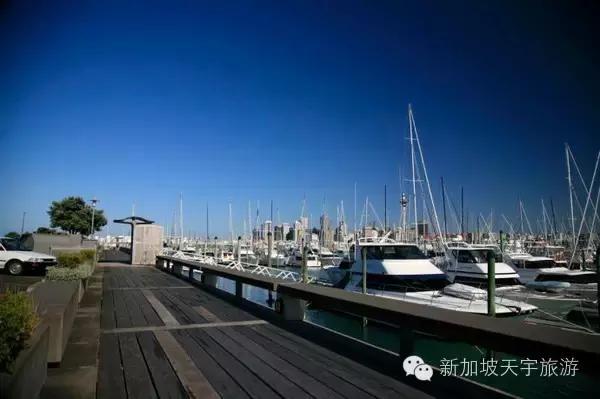 新西兰纯净之旅,10天时间旅游攻略