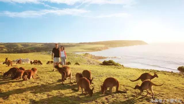 这个冬天让我们相约南半球的澳洲,旅行我的澳洲之旅