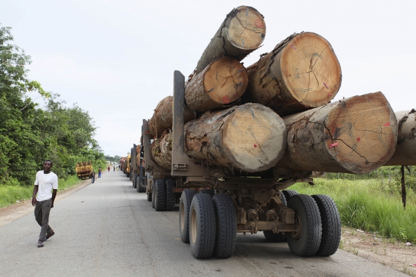 中国商人在塞内加尔,中国商人到国外