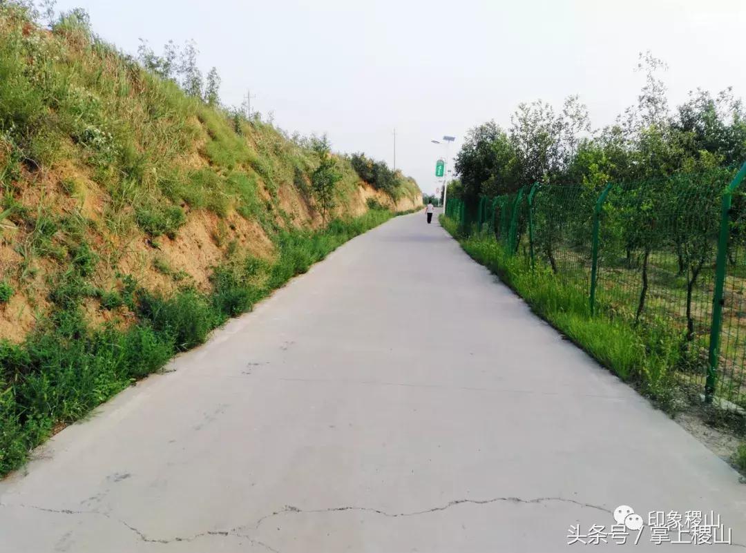 万步有约健步走的图片,万步有约健走视频动漫