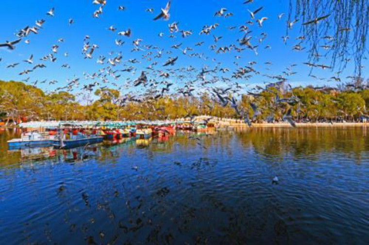 想避暑就来苍山顶,要想避暑就来西塘古镇