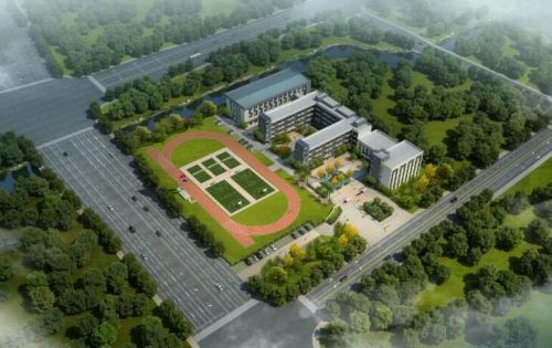 教师队伍培养及能力提升,师资团队不断壮大