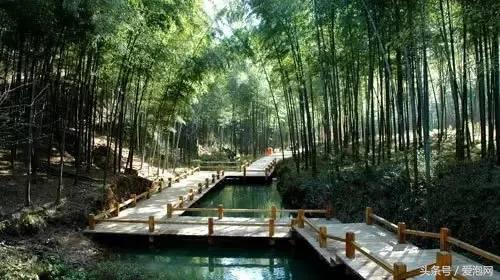 江浙沪深山老林旅游最好去处,清凉避暑好去处森林氧吧