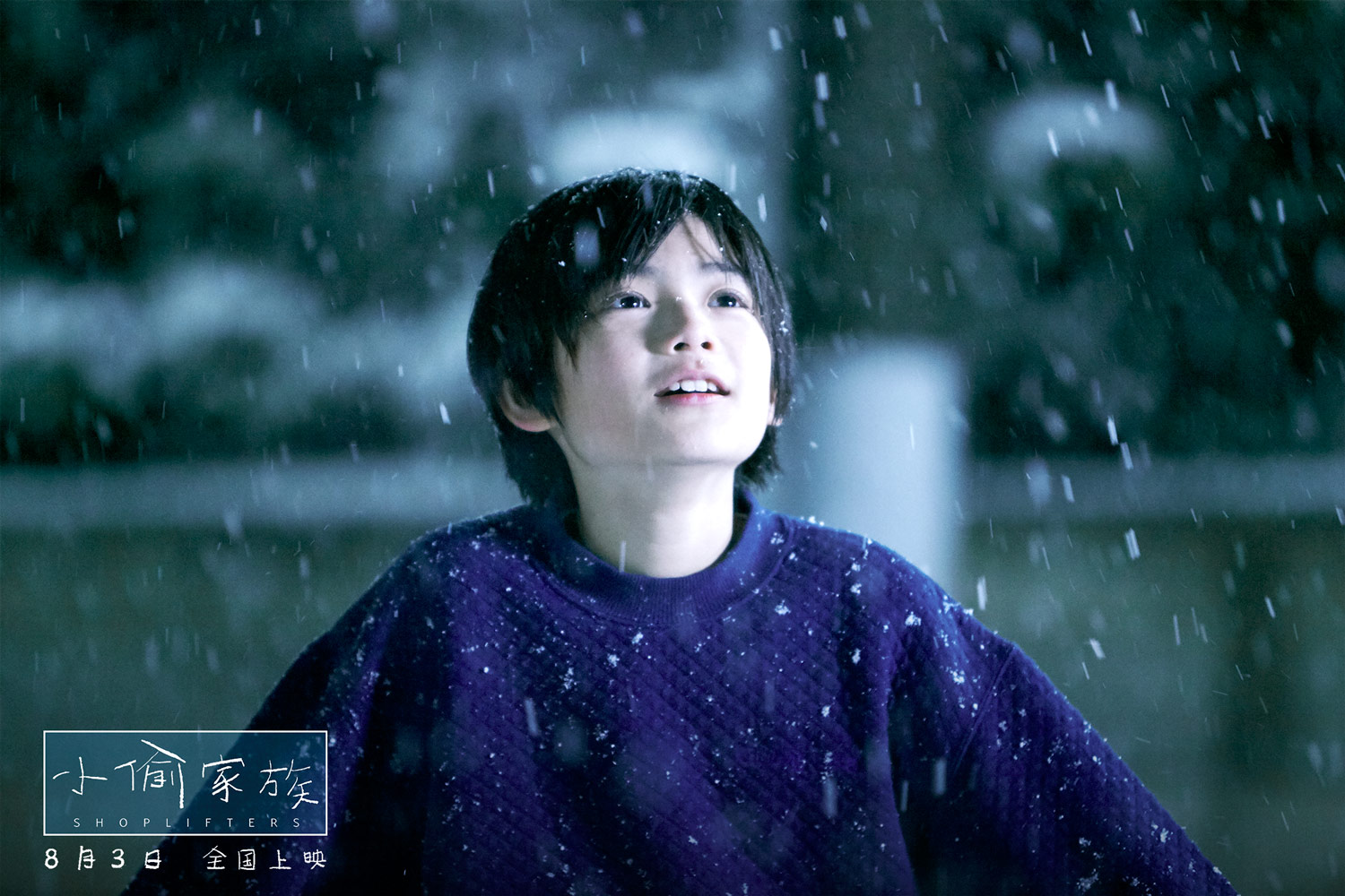 日本电影小偷家族完整版免费看,日本电影小偷家族感人片段