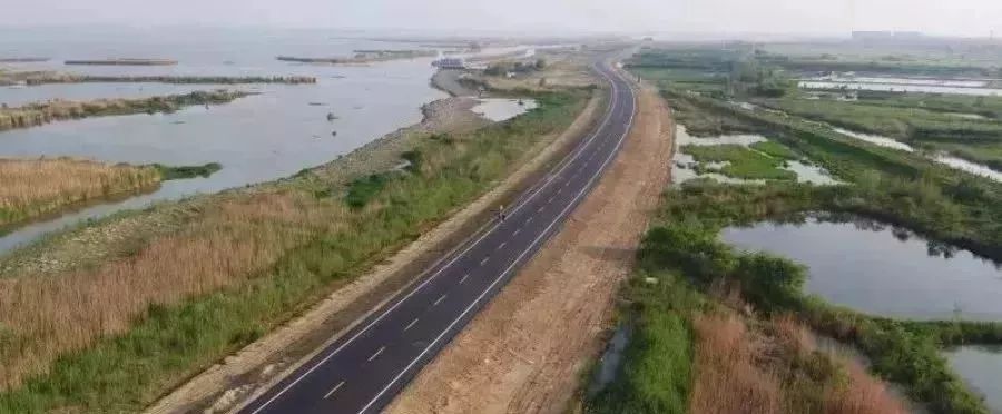 常州吃湖鲜,常州景观大道