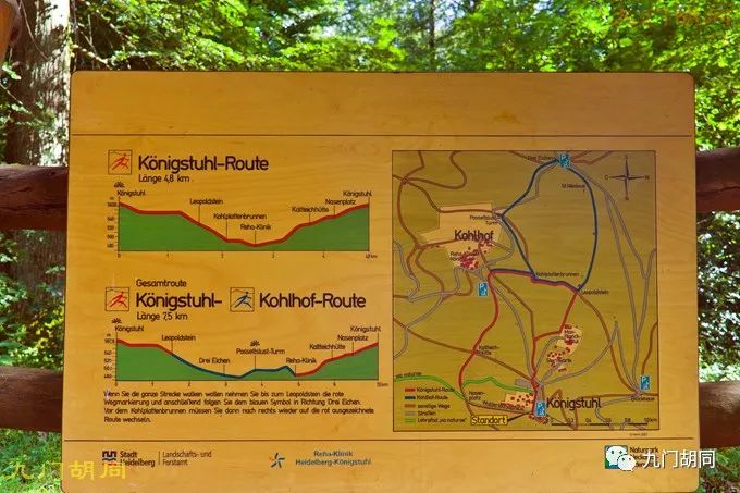 海德堡位于哪里,海德堡资料