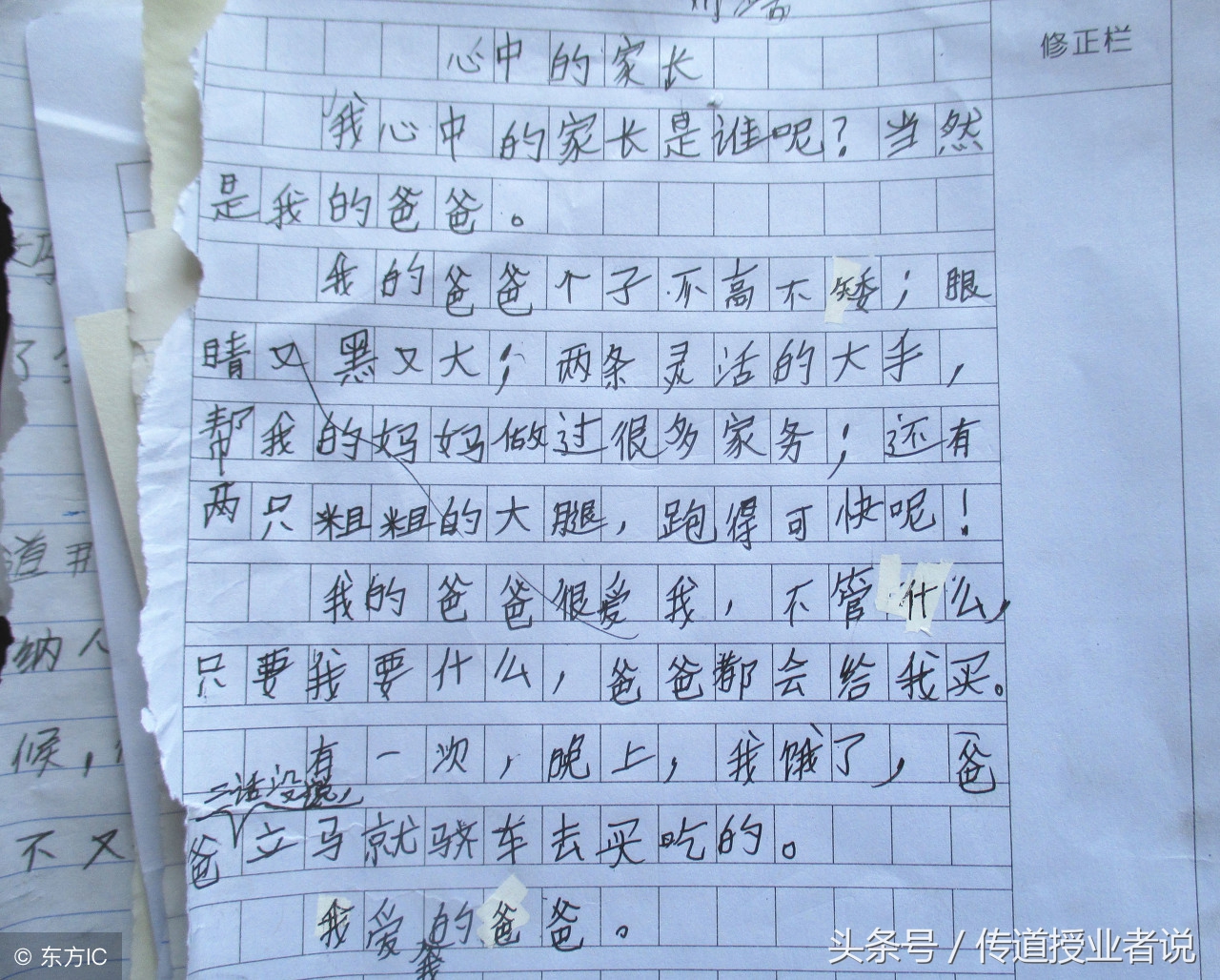 最新部编版三年级上册语文预习,小学语文三年级上册人教版电子版