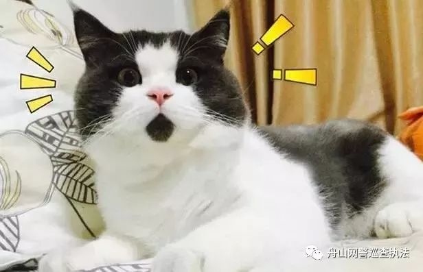 净网2018警惕网络传销,净网2019被骗的表现