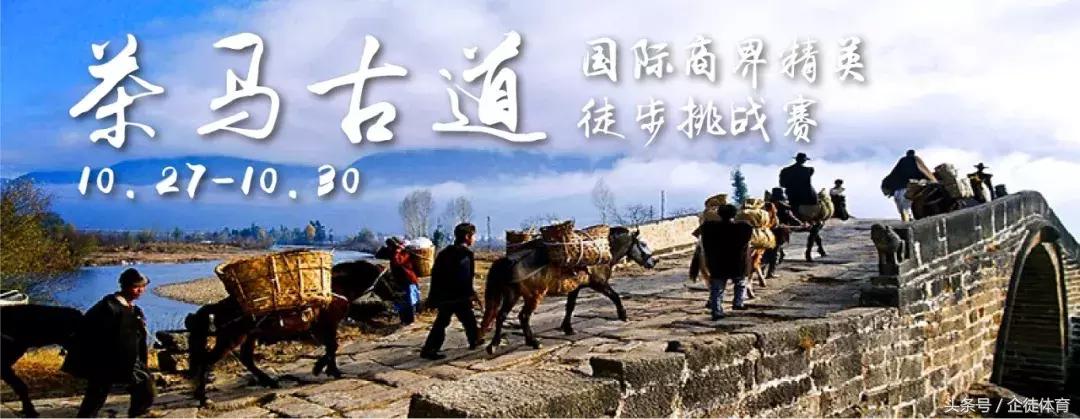 朱辉笃行致远,朱辉项城一高校长