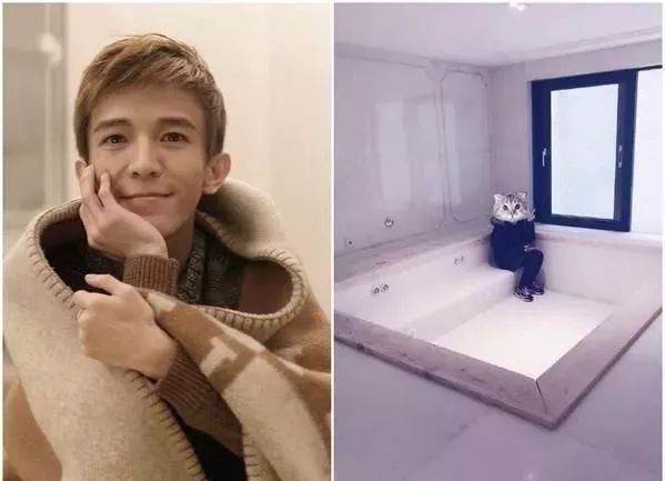 浴缸淋浴房设计,大空间浴缸淋浴房设计