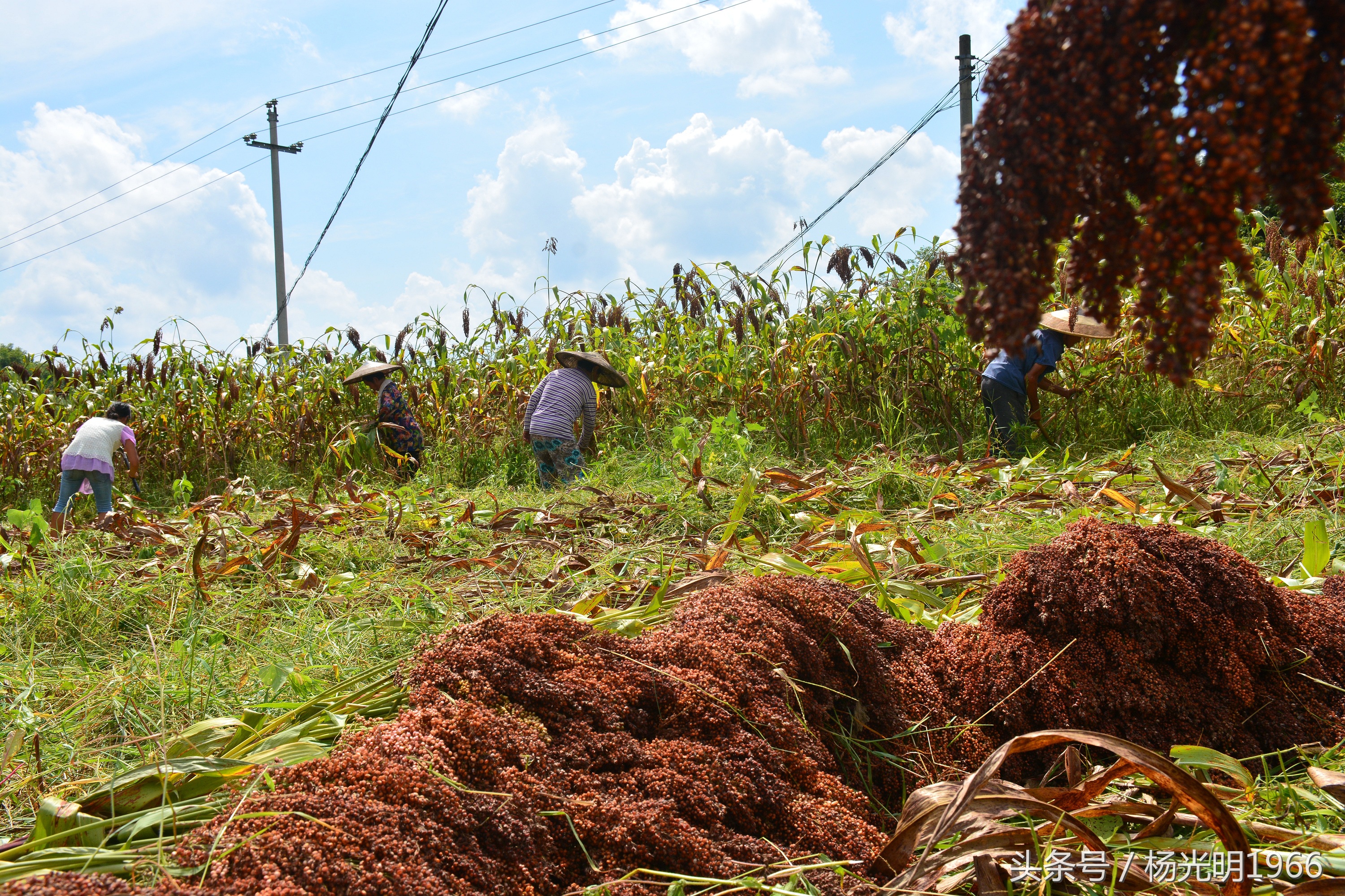 勇啃硬骨头,攻坚克难啃硬骨头的精神