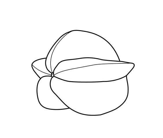 水果蔬菜简笔画合集可打印涂色,各种水果蔬菜的画法简笔画