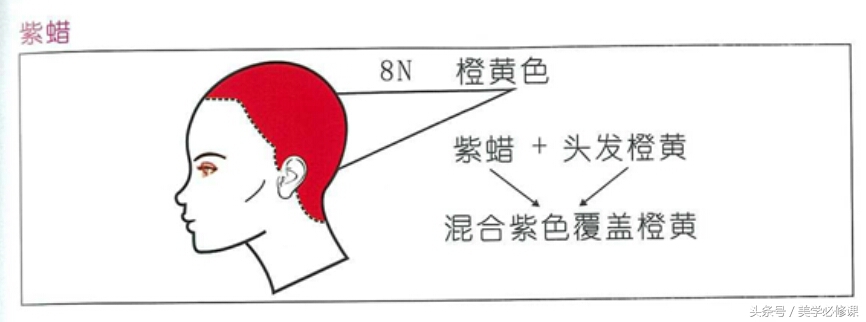 打蜡小技巧,打蜡技巧培训