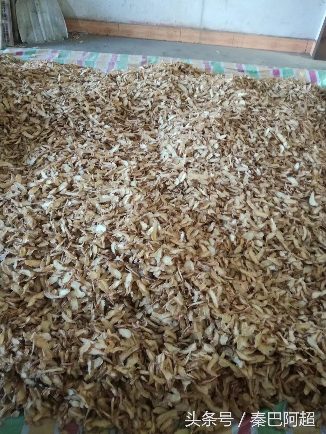 小草坝云南最美的天麻之乡,带你走进云南天麻之乡