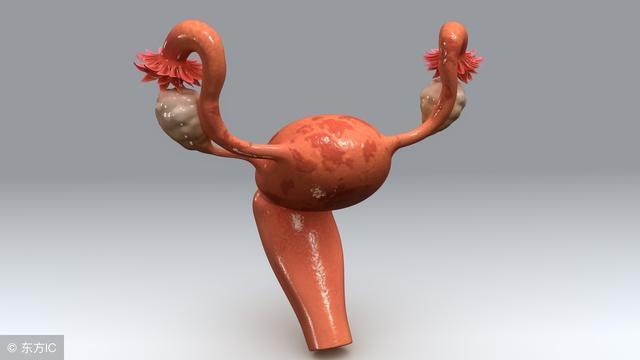 宫颈肥大到底是怎么回事？宫颈肥大如何防治好