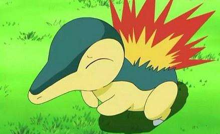 宠物小精灵初始宝可梦,宠物小精灵三个初始精灵