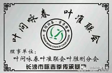 2019咏春拳比赛第一名,2019年全国武术咏春拳比赛