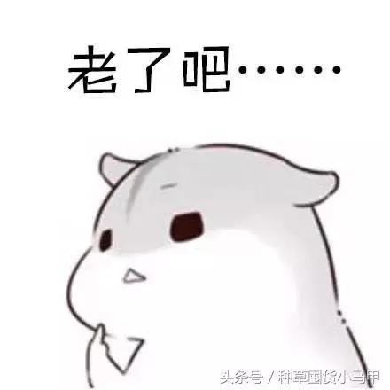 毛孔大和遗传有关系吗,脸出油有没有遗传关系