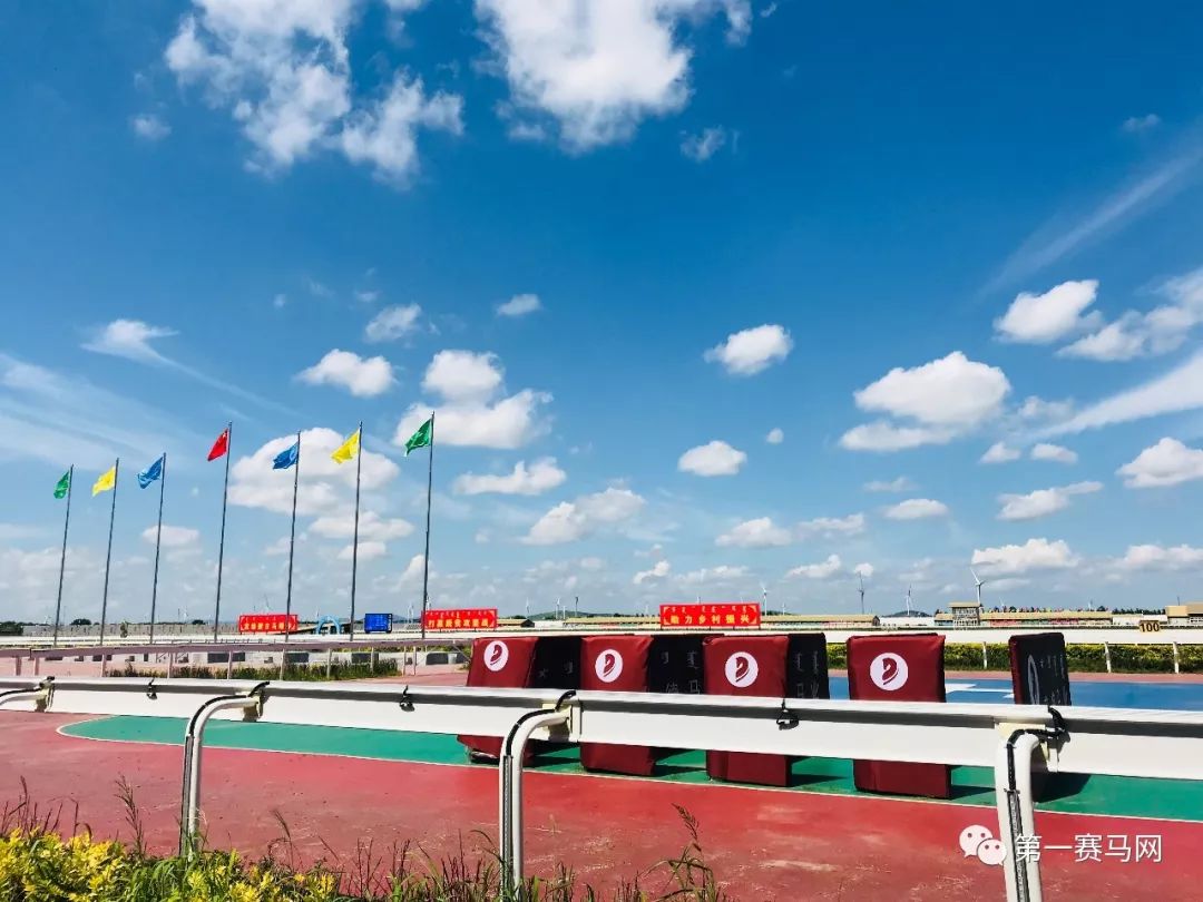 「直播」“体彩杯”内蒙古国际速度马邀请赛暨内蒙古第五届国际马术节内蒙古莱德马业站9月15日即将隆重开幕！——1赛马网