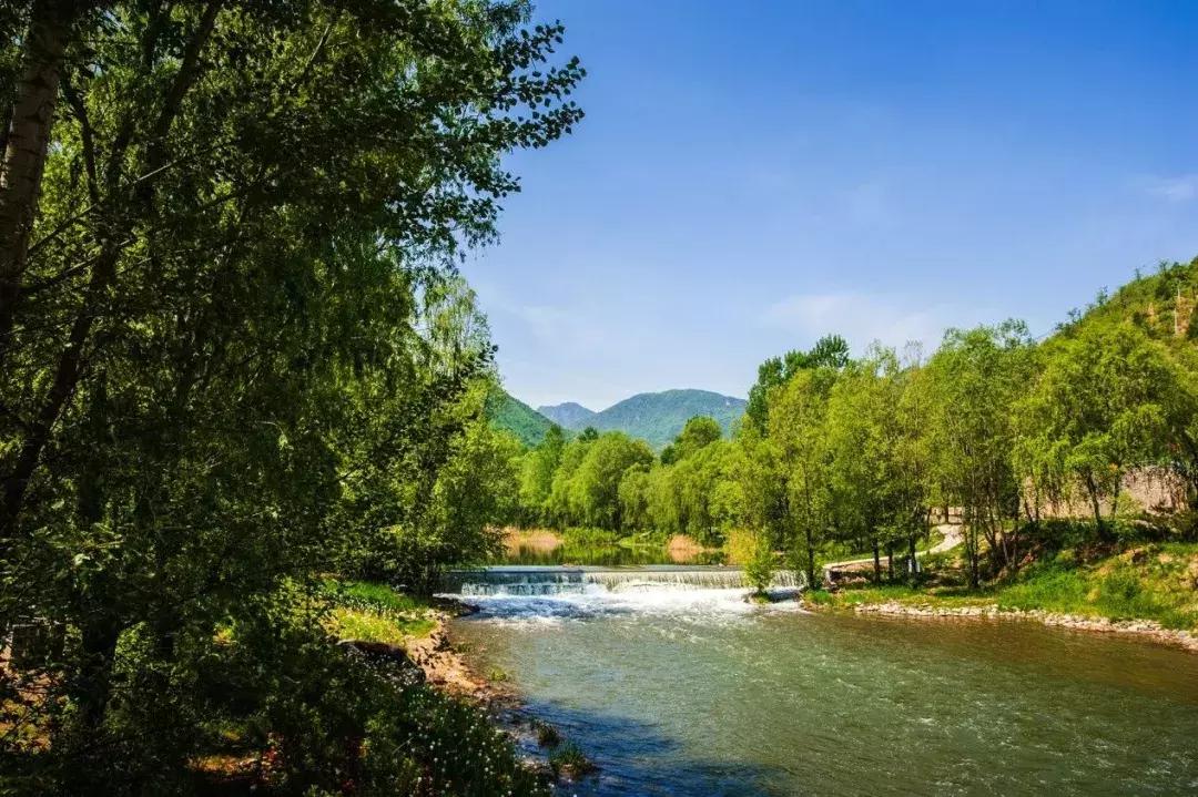 百里山水画廊四季花海,周末美好时光畅游千亩花海