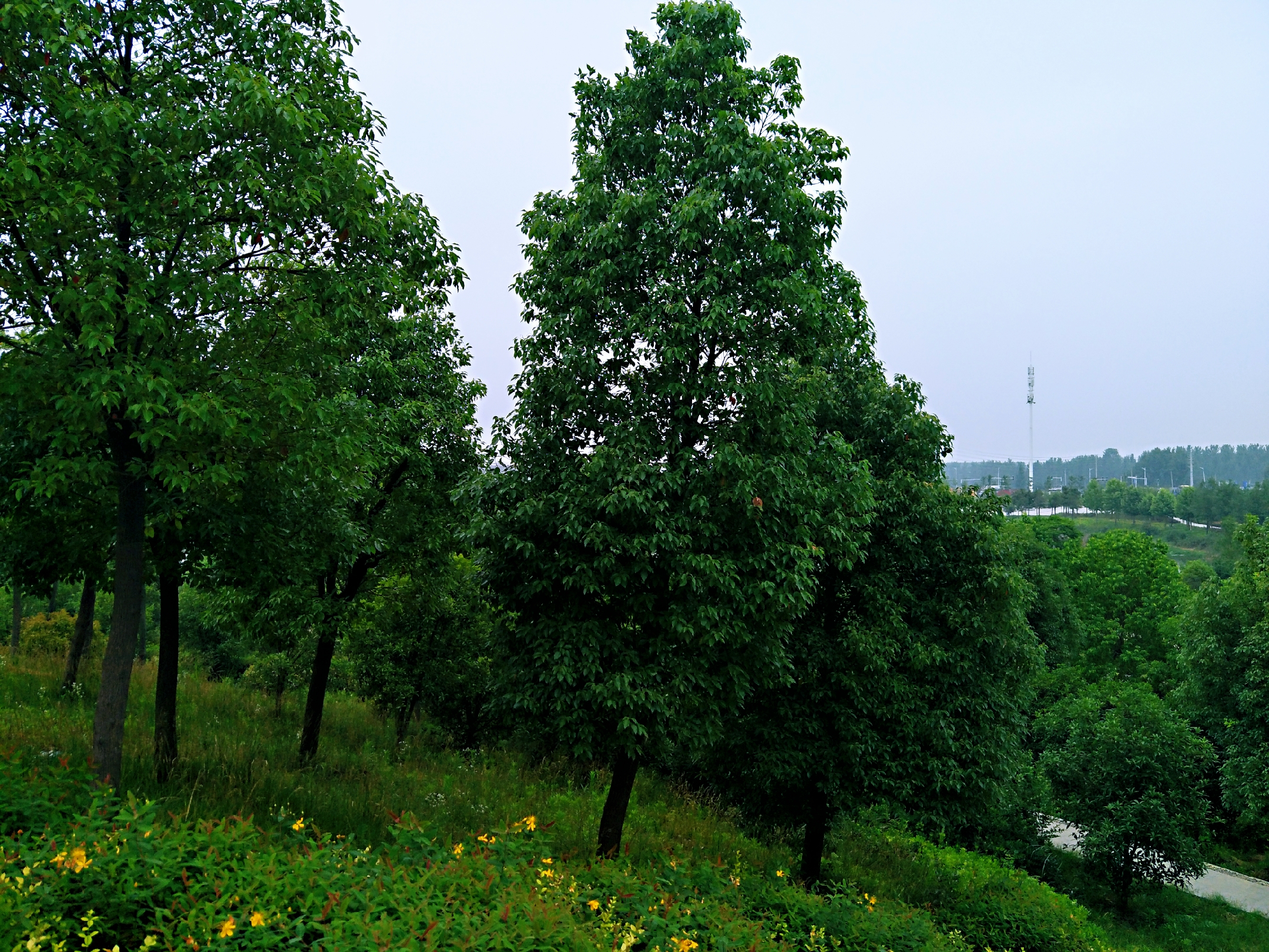 新蔡县物价,驻马店新蔡县物价