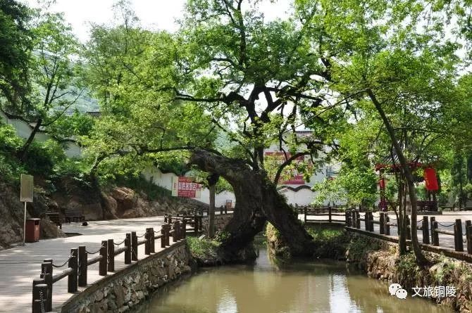 凤凰山景区门票价,凤凰山景点门票多少元