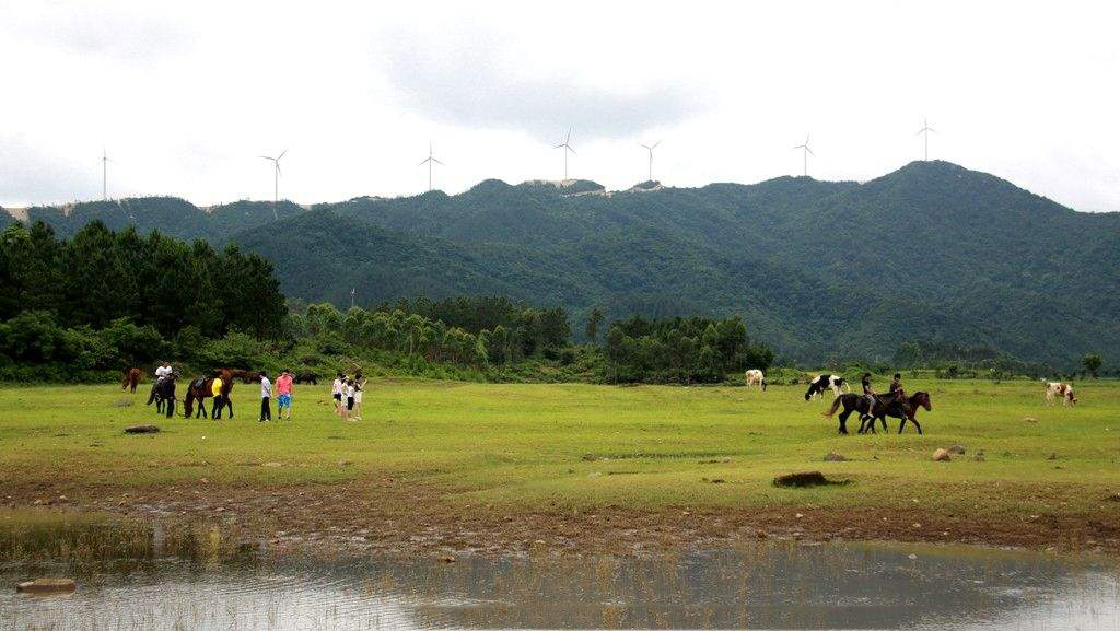 想看大草原是去西藏还是新疆,想看草原去哪里合适