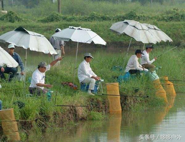 野钓鲫鱼技巧挂蚯蚓应该怎样调漂,新手怎么挂蚯蚓钓鱼