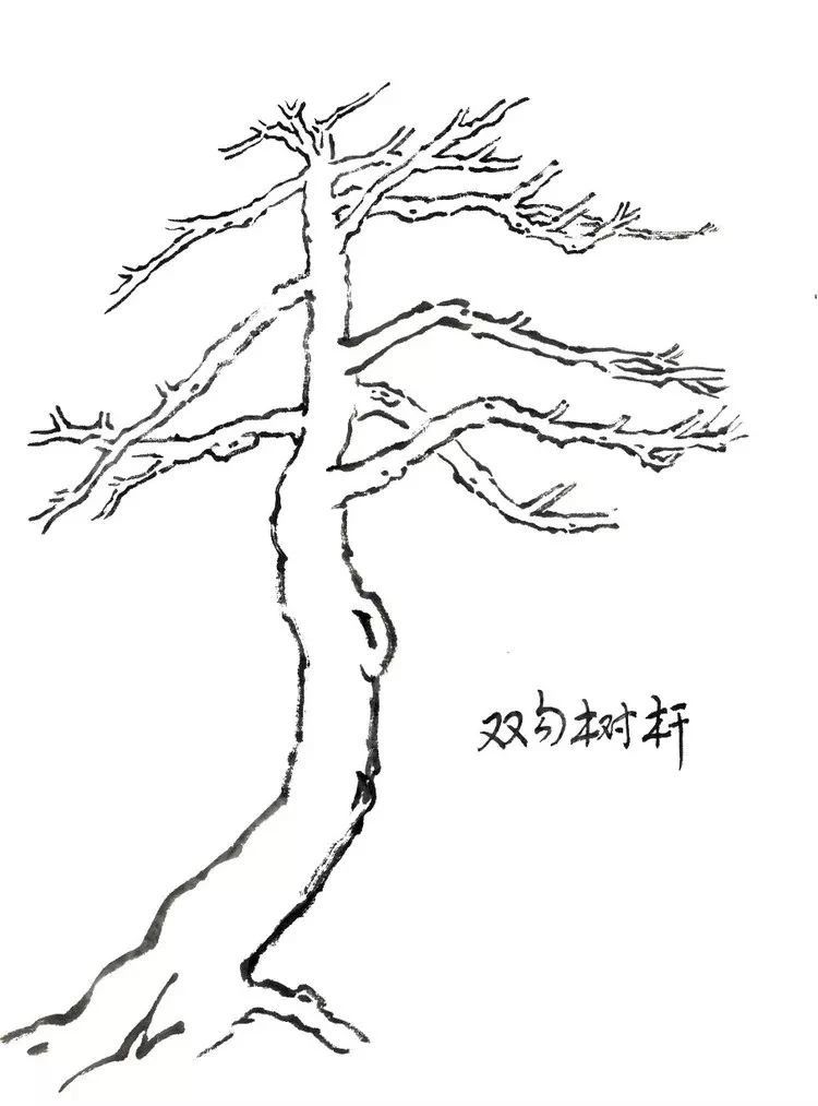 古代松树的画法,迎客松树的画法