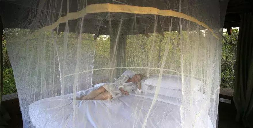 家居驱虫驱蚊有什么好办法,家居驱蚊