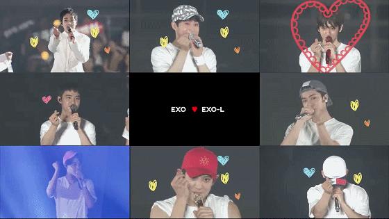 exo爱丽天团应援2017梦想演唱会,exo-l女团