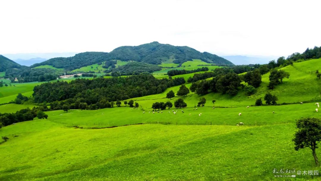 寻甸凤龙青青草原,寻甸凤龙山草原