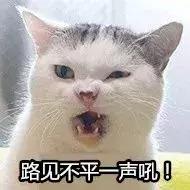 小裙子，你尽管去穿！*狼色**，我们来抓！这个喊话引网友怒赞