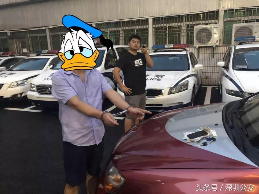 怎样能快速查到出租车的牌照,出租车牌怎么辨别真假